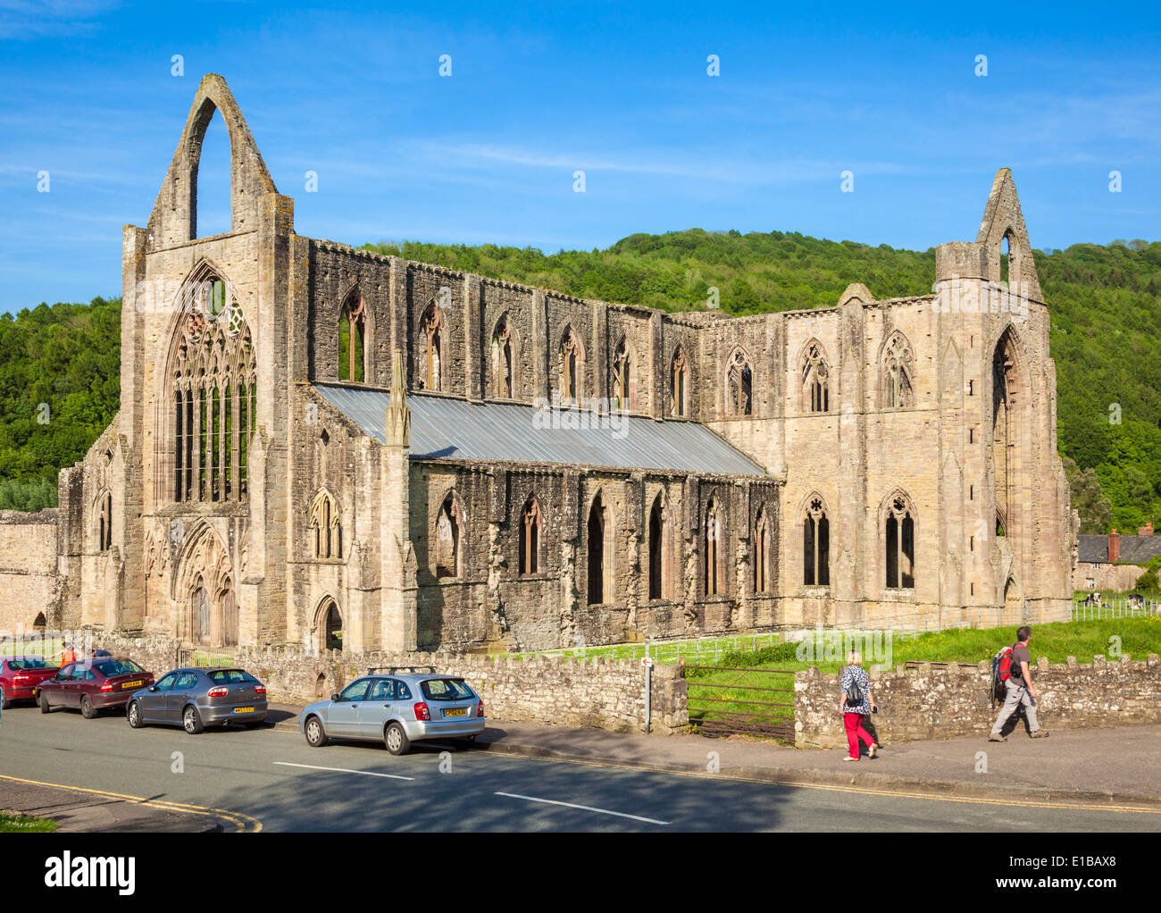 Abbaye de Tintern, Tintern, vallée de la Wye, Monmouthshire, Wales, Royaume-Uni, l'Union européenne, de l'Europe Banque D'Images