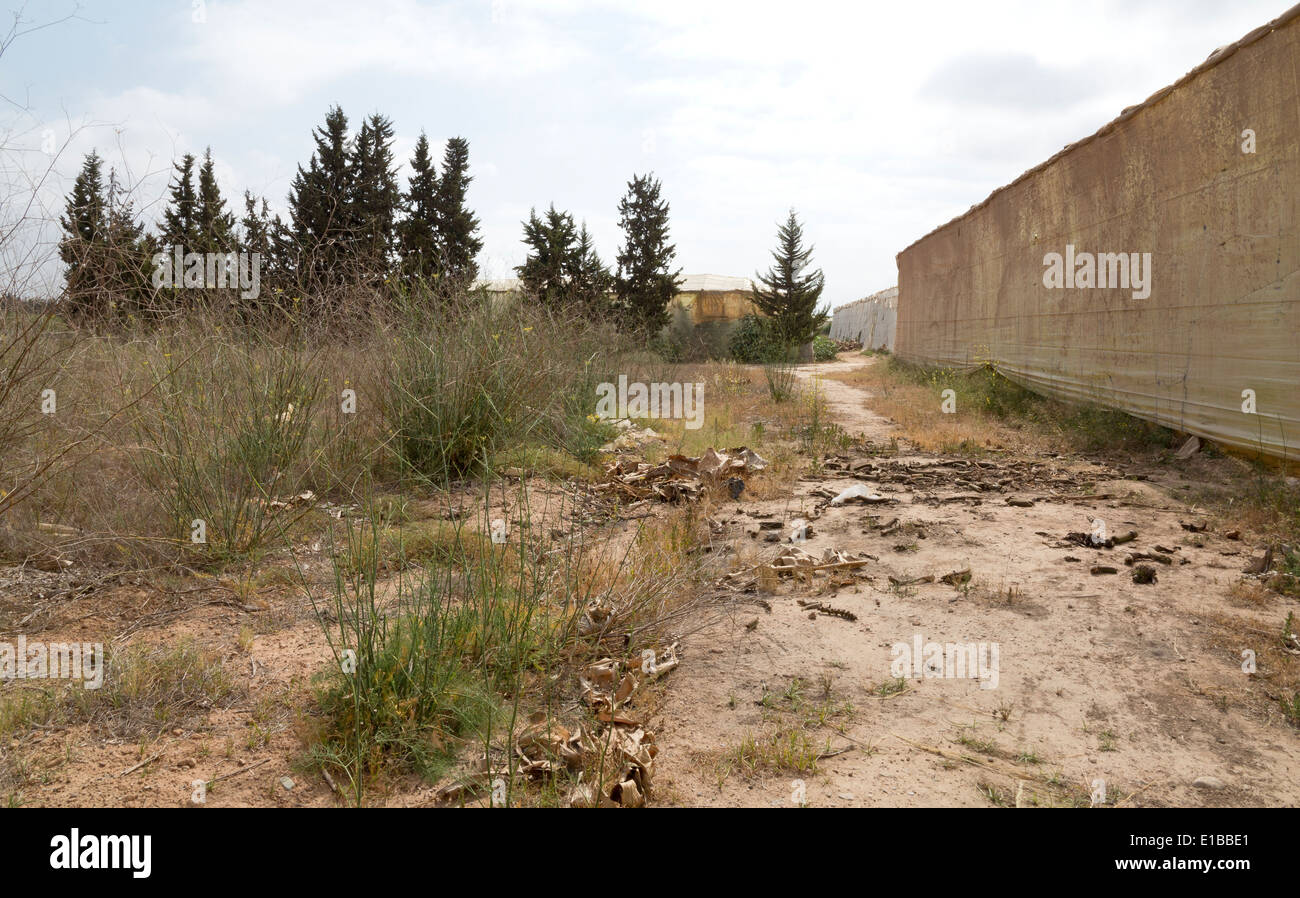 Grand polytunnels dans une bananeraie Entouré de garrigues Banque D'Images