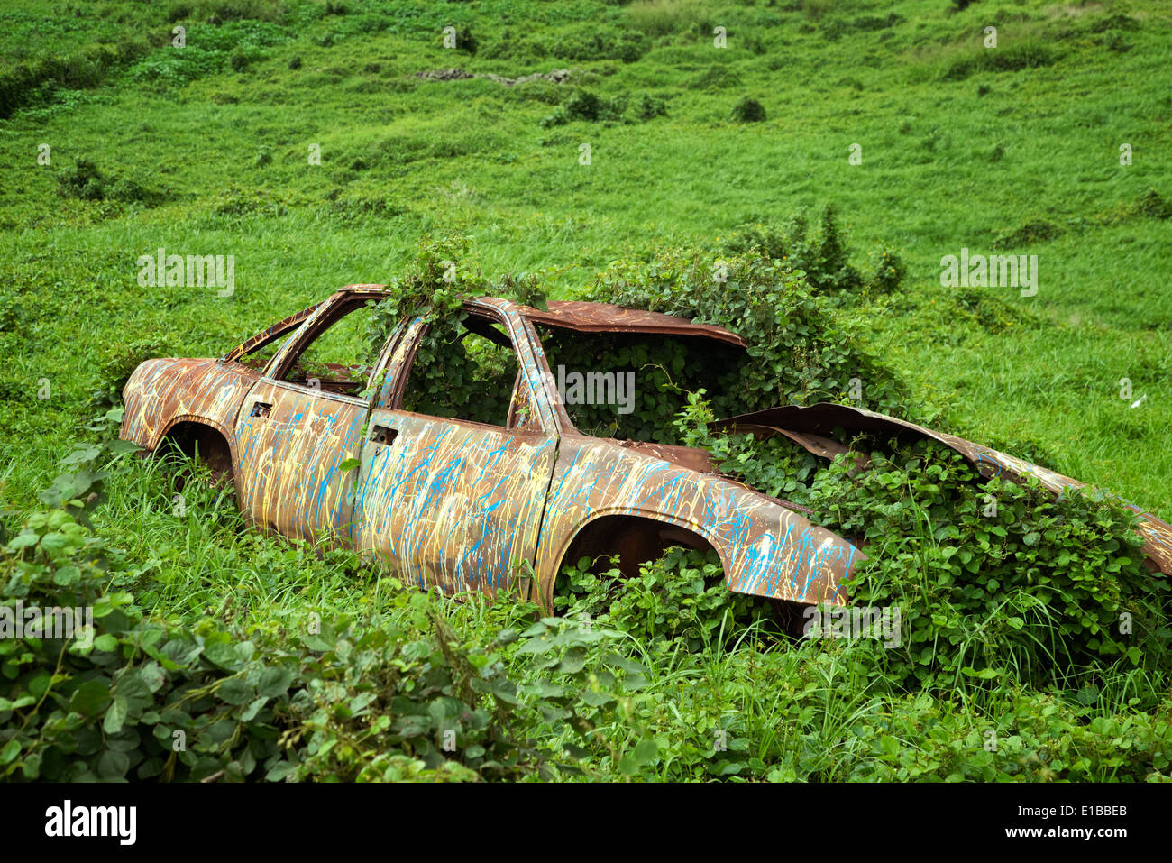 Vieille voiture peinte et détruit. Les hautes terres, Maui, Hawaii. Banque D'Images