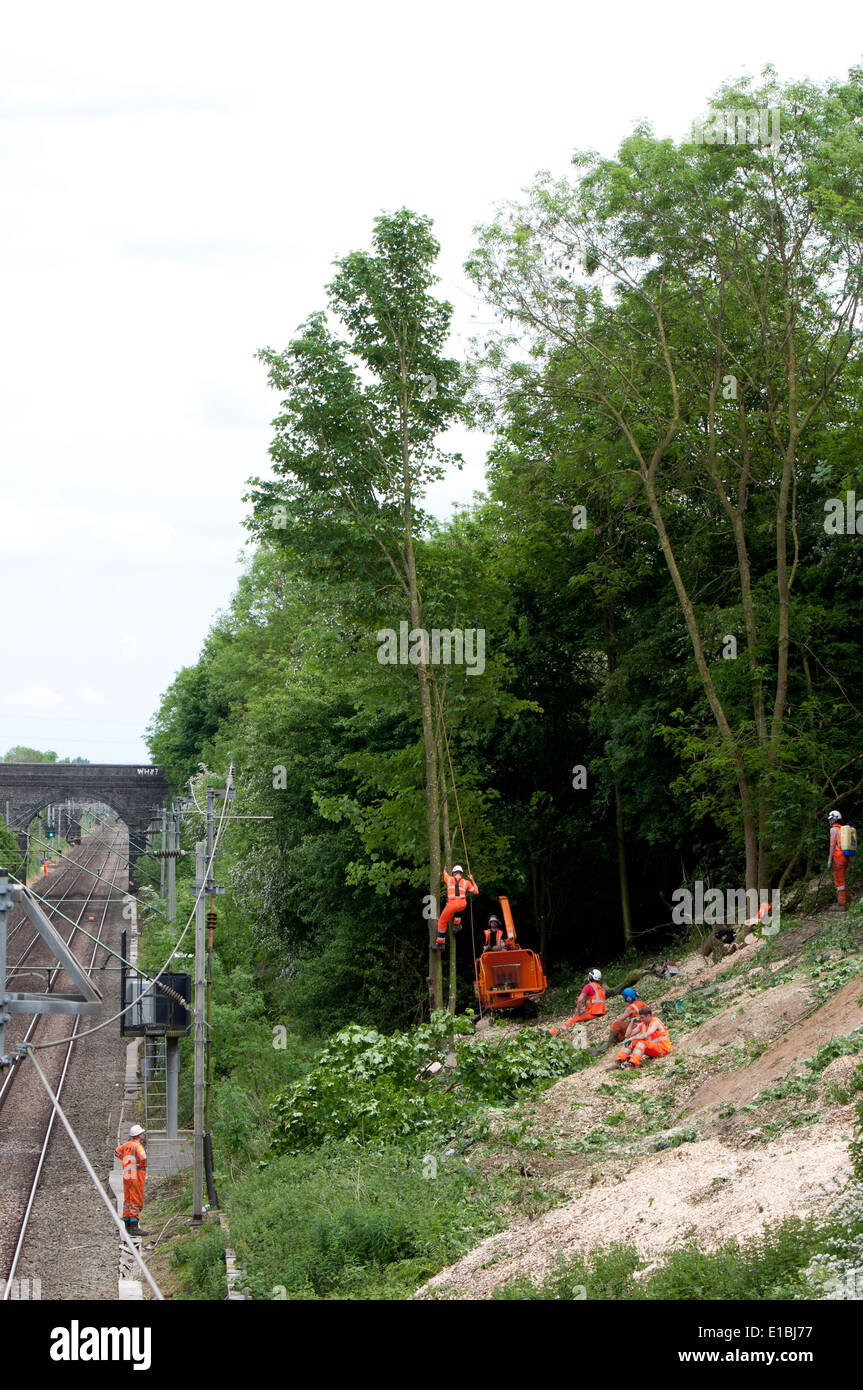 Les hommes à couper des arbres à côté de la West Coast Main Line, Northamptonshire, Angleterre Banque D'Images