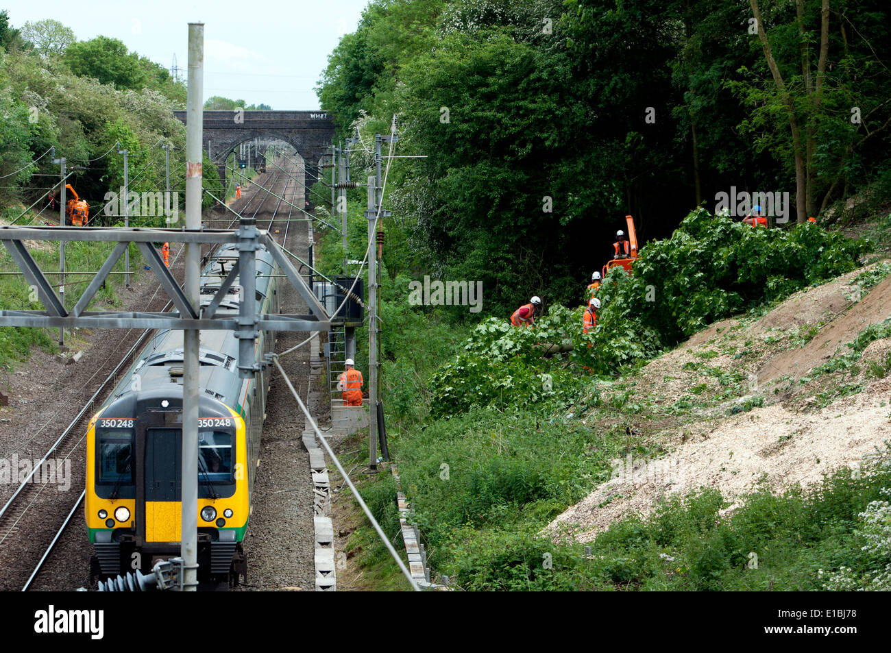 Les hommes à couper des arbres à côté de la West Coast Main Line, Northamptonshire, Angleterre Banque D'Images