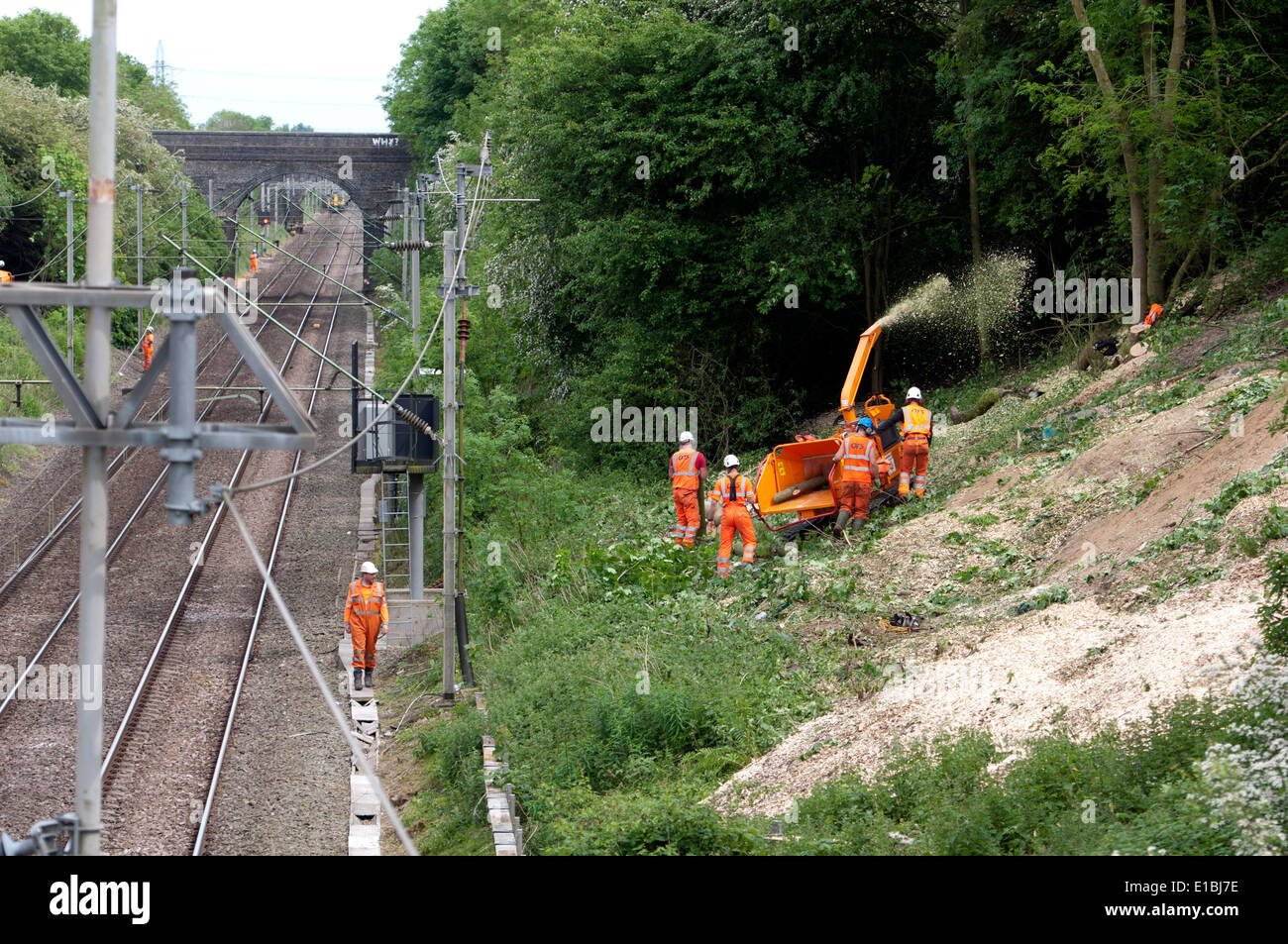 Les hommes à couper des arbres à côté de la West Coast Main Line, Northamptonshire, Angleterre Banque D'Images
