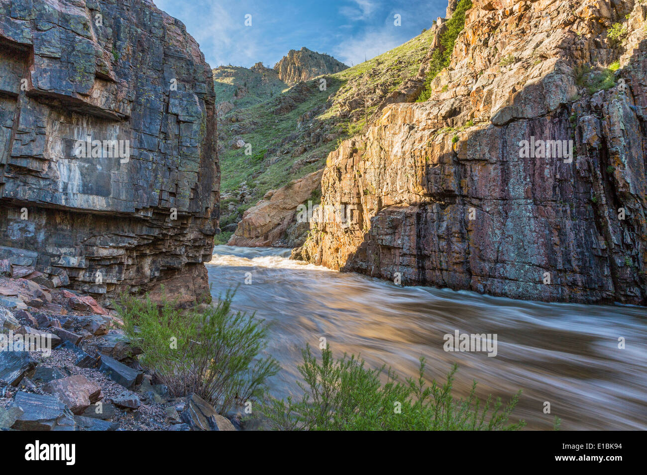 La Poudre cache à la rivière Little Narrows, près de Fort Collins, Colorado - débit de printemps Banque D'Images