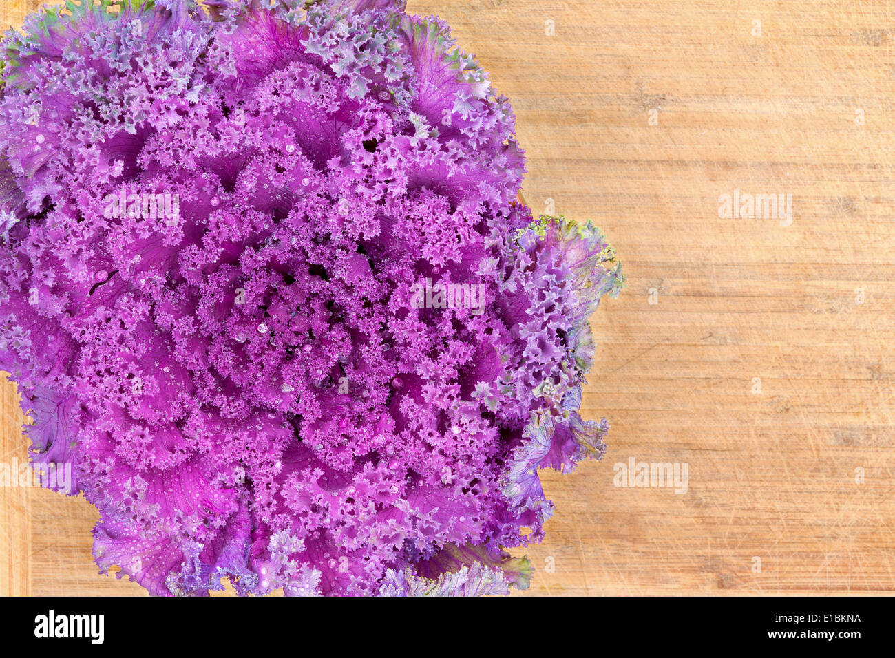 Organique saine à feuilles frisées violet kale libre texture avec une vue de dessus comme les matières premières fraîches entières sur une vieille tête c bambou Banque D'Images