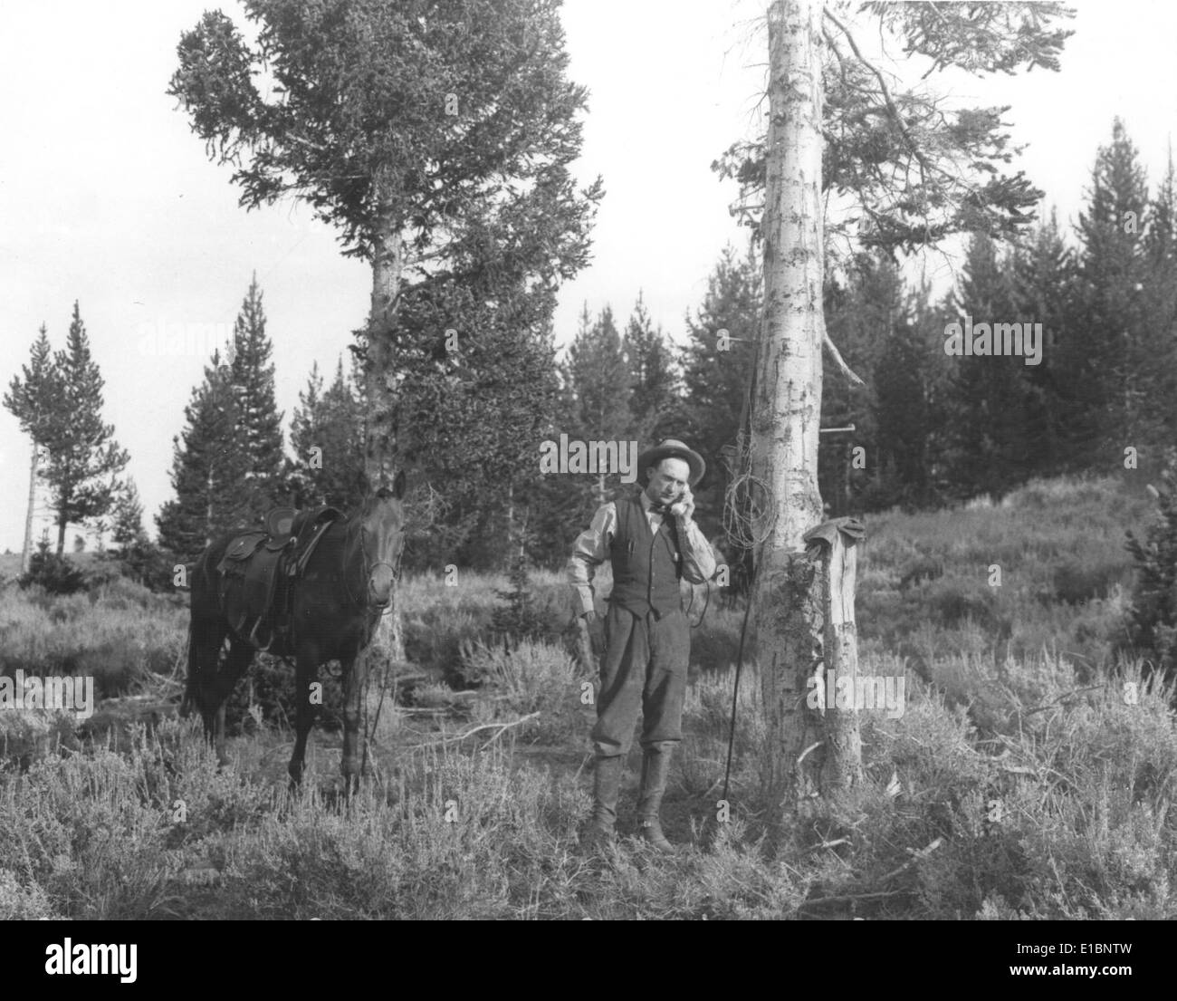 Un numéro de champ spécifique, 99-917, probablement associé à une étude scientifique ou écologique, représentant un point de données ou un identificateur de recherche dans un projet de conservation ou de surveillance environnementale. Il est utilisé pour suivre des constatations ou des résultats précis dans le cadre d'une initiative de recherche plus vaste. Banque D'Images