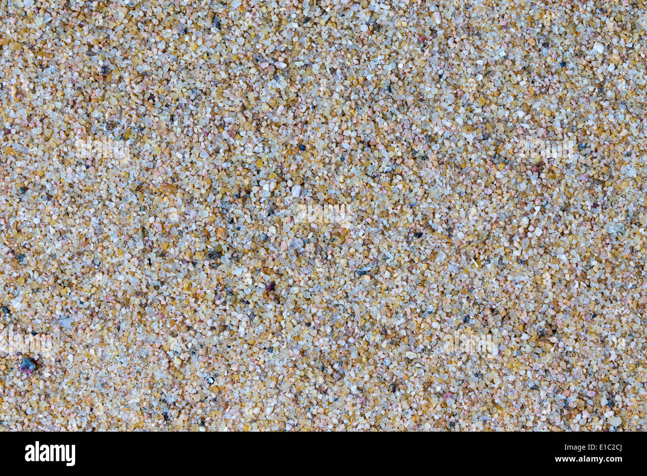 Fond macro texture du sable de plage composé de granulés et particules de roches altérées et érodé, minéraux, corail et elle Banque D'Images
