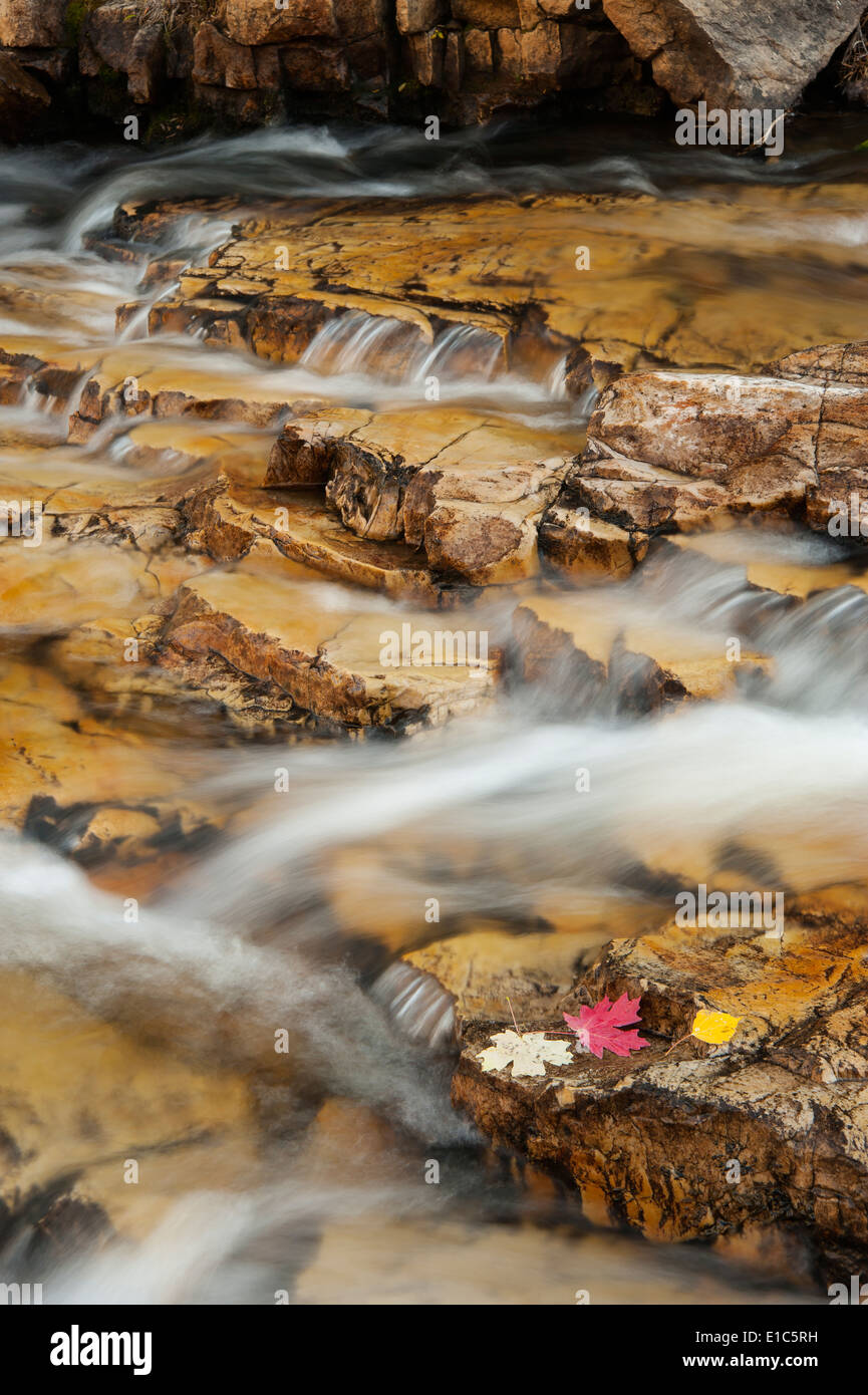 L'eau qui coule sur les rochers, sur la Provo River dans les montagnes Uinta. Banque D'Images