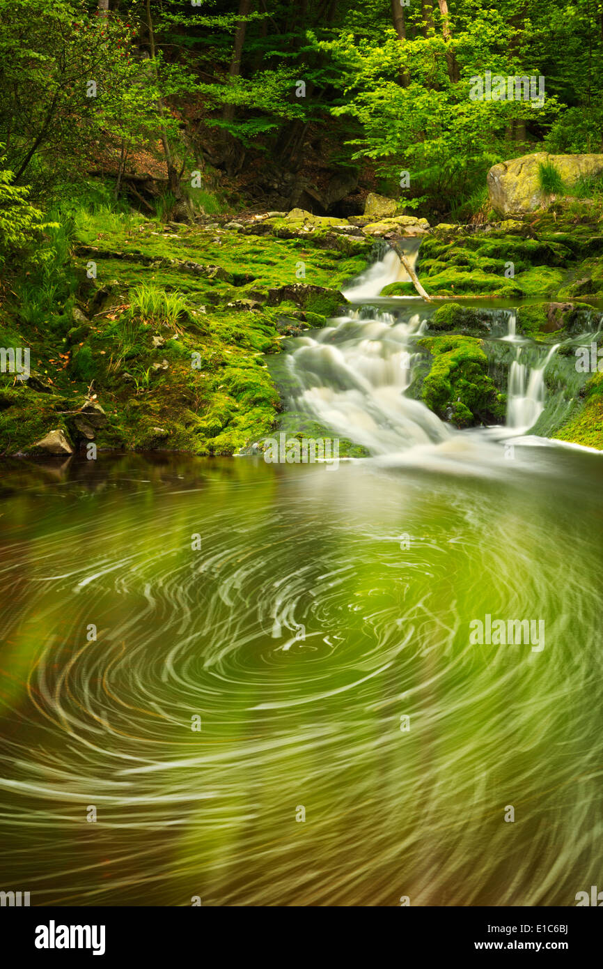 Une petite cascade dans un écrin de forêt dans les Ardennes, en Belgique. Banque D'Images