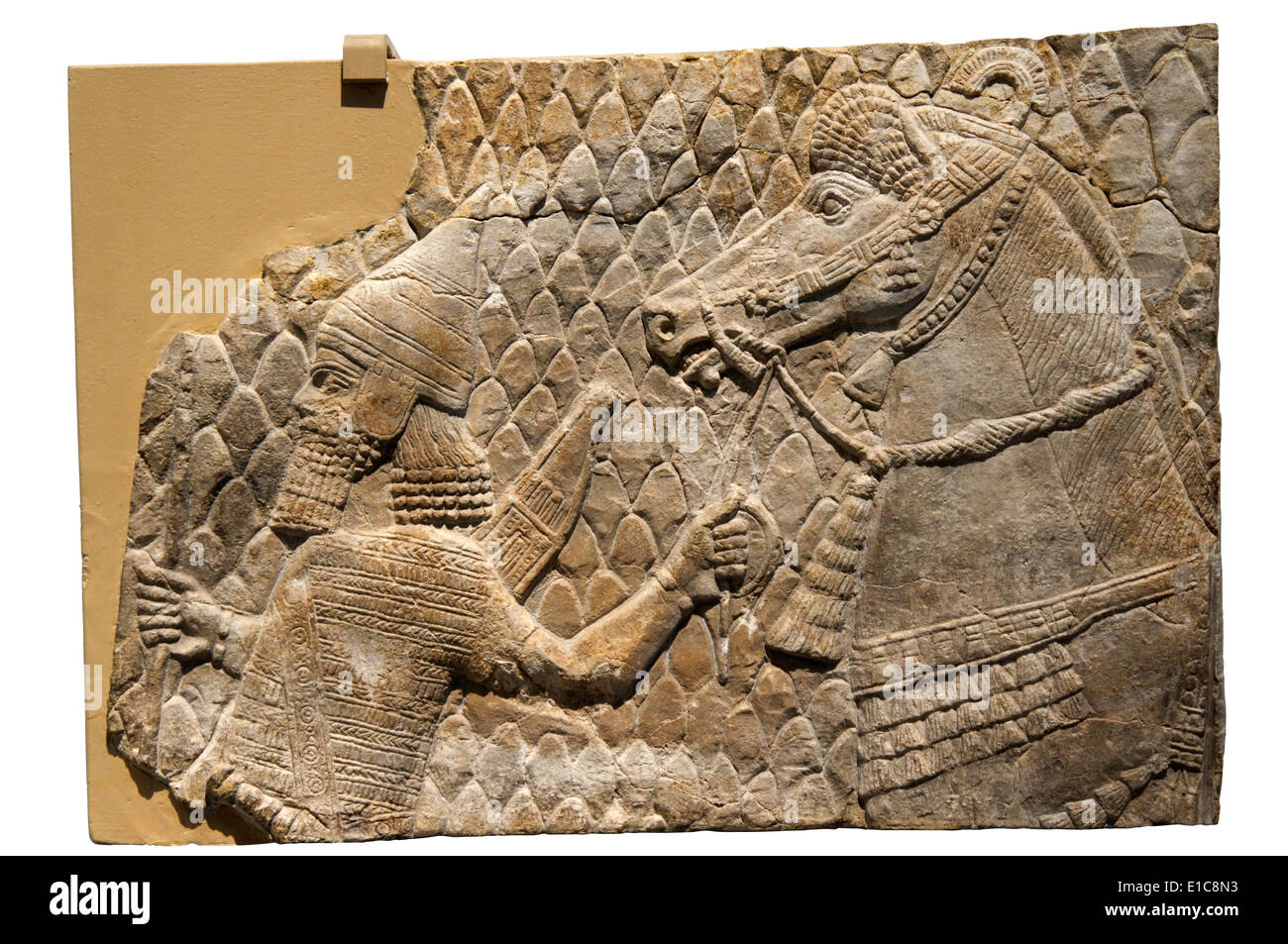 Un 7ème siècle BC sculpté relief montrant un Assyrien archer la tête d'un cheval. De SW Palais de Sanchérib dans Ninive, de l'Iraq. Banque D'Images
