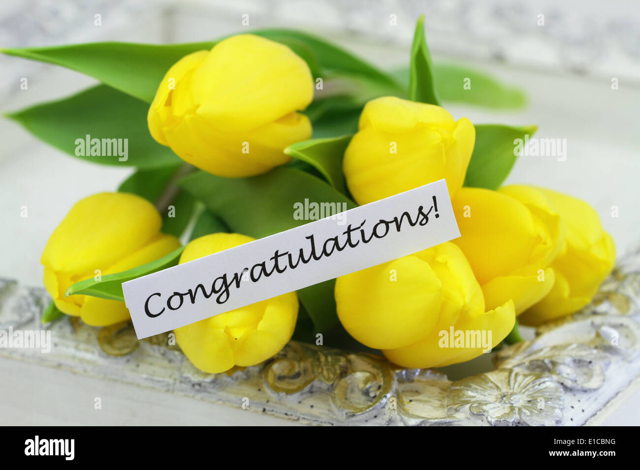 Carte de félicitations avec tulipes jaune Banque D'Images