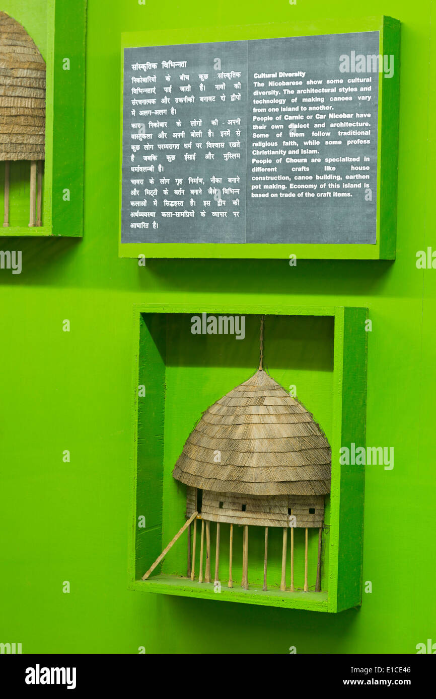 Musée anthropologique,Port Blair,Iles Andaman,Inde,Asia Banque D'Images