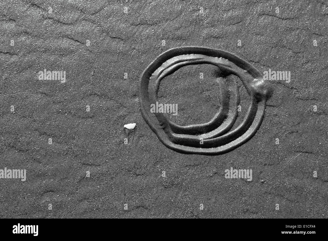 Trace de Long Beach de sable à marée basse. Banque D'Images