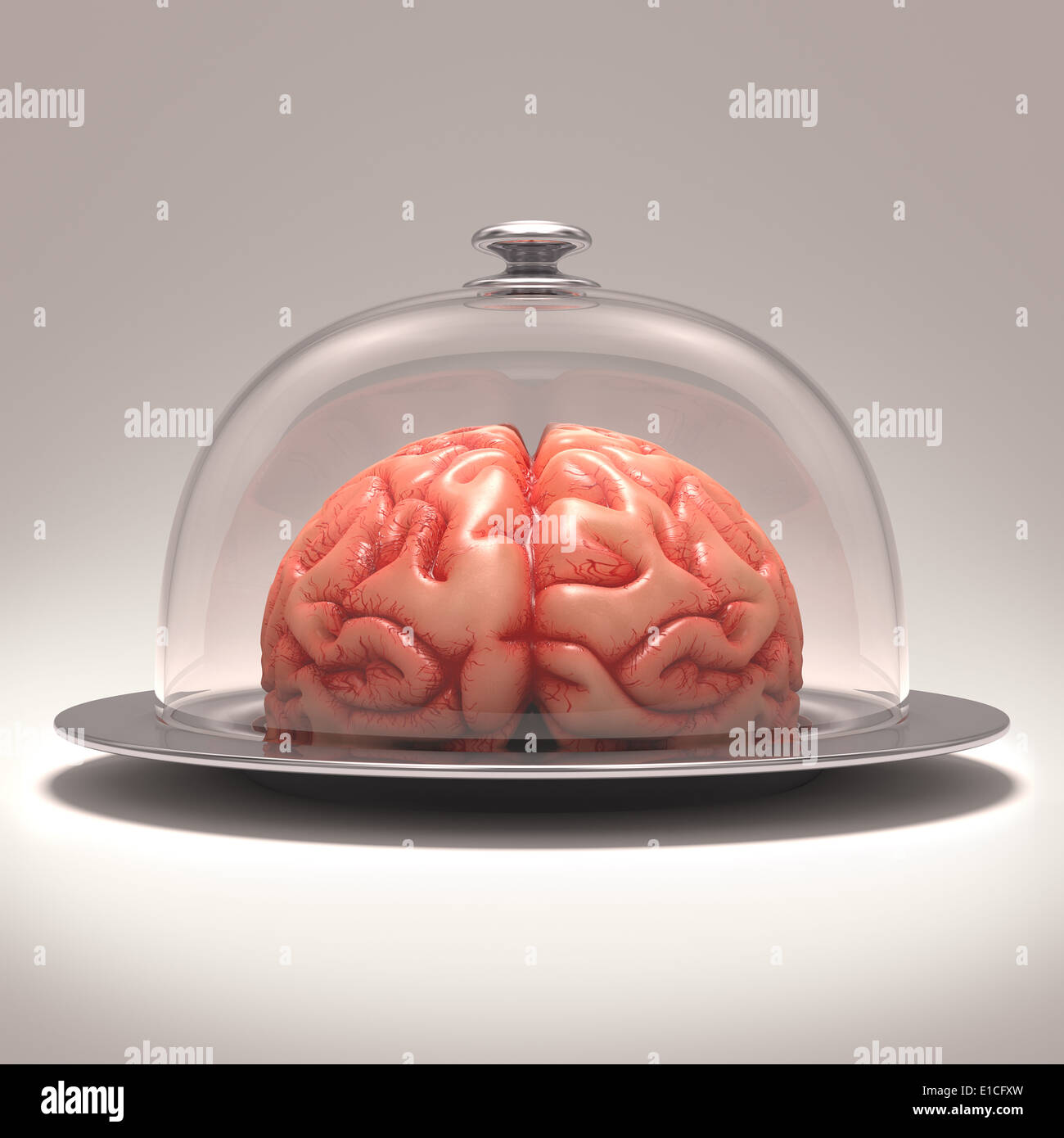 Cerveau sur un plateau en acier inoxydable recouvert d'un couvercle en verre. Chemin de détourage inclus. Banque D'Images