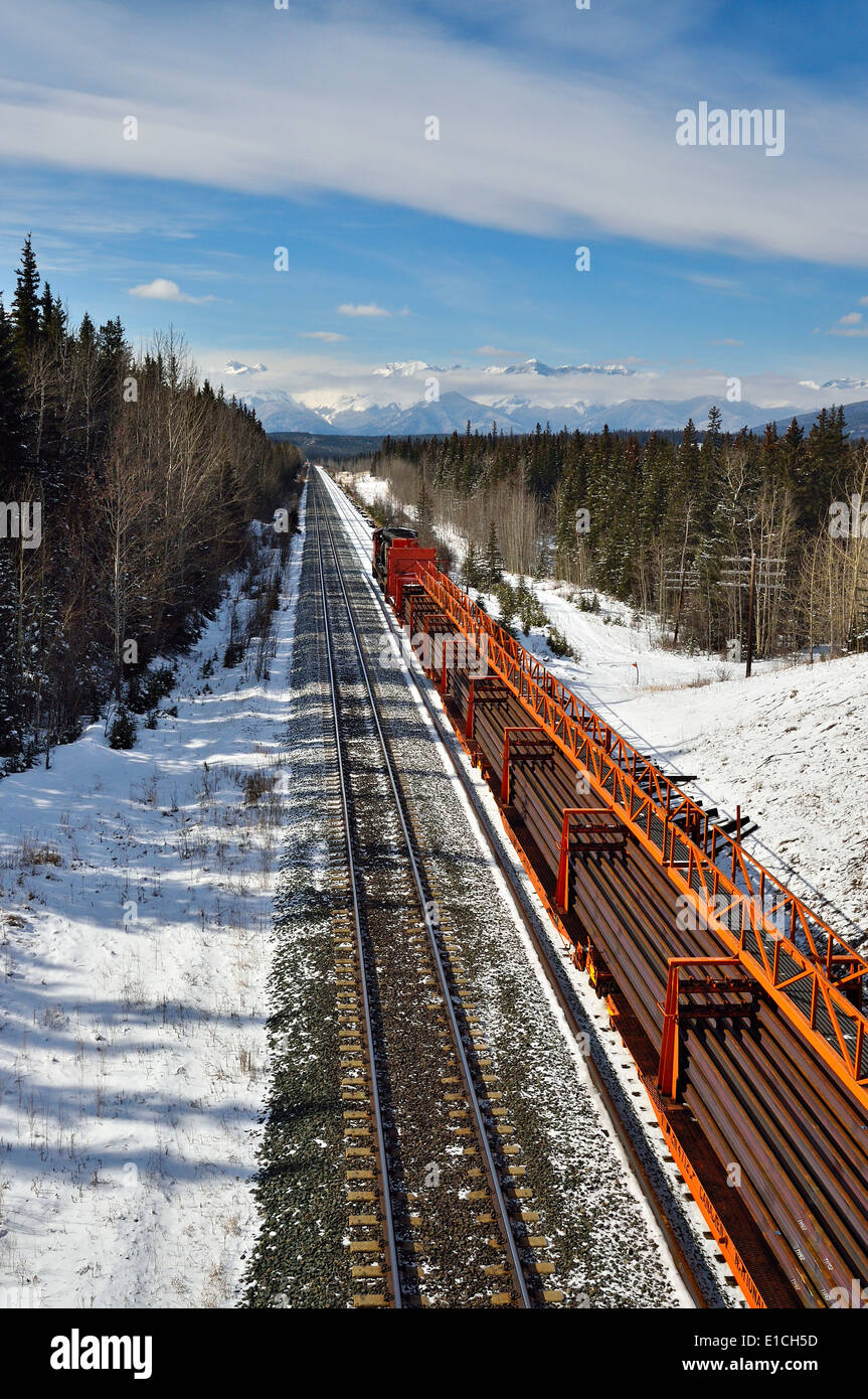 Un train de marchandises du Canadien National, transportant un chargement de rails de train vers les montagnes rocheuses de l'Alberta au Canada. Banque D'Images