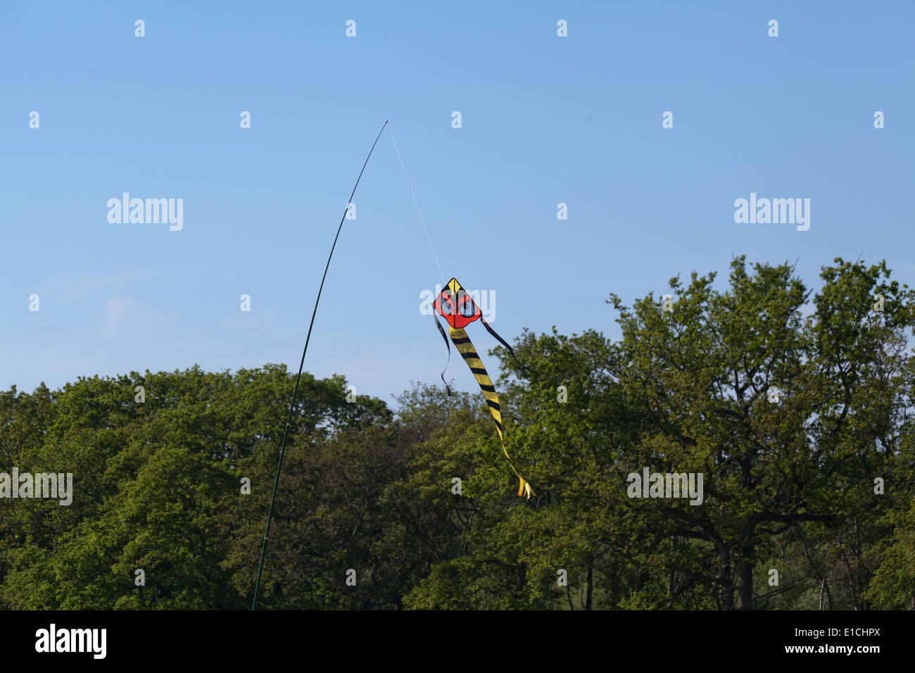 Cerf-volant d'effarouchement des oiseaux, avec beaucoup d'accent sur les yeux. Utilisé pour agir comme un dispositif d'effarouchement sur une récolte de pois. Utilisation de couleurs d'avertissement de danger, les yeux Banque D'Images