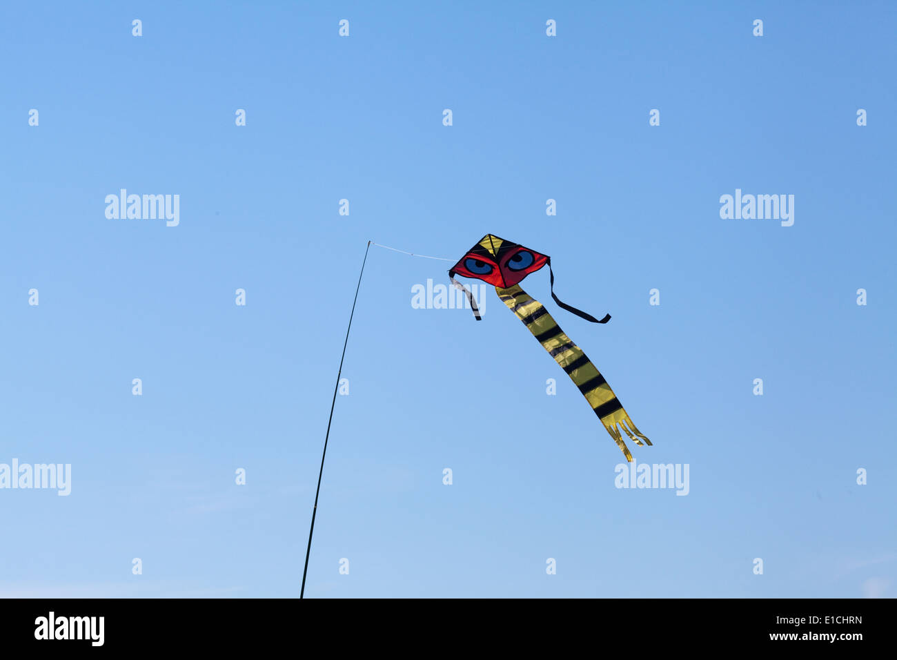 Cerf-volant d'effarouchement des oiseaux, avec beaucoup d'accent sur les yeux. Utilisé pour agir comme un dispositif d'effarouchement sur une récolte de pois. Utilisation de couleurs d'avertissement de danger, les yeux Banque D'Images