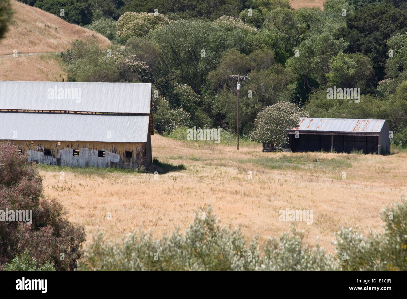 Un couple de bâtiments agricoles dans la région de San Juan Bautista, en Californie. Banque D'Images