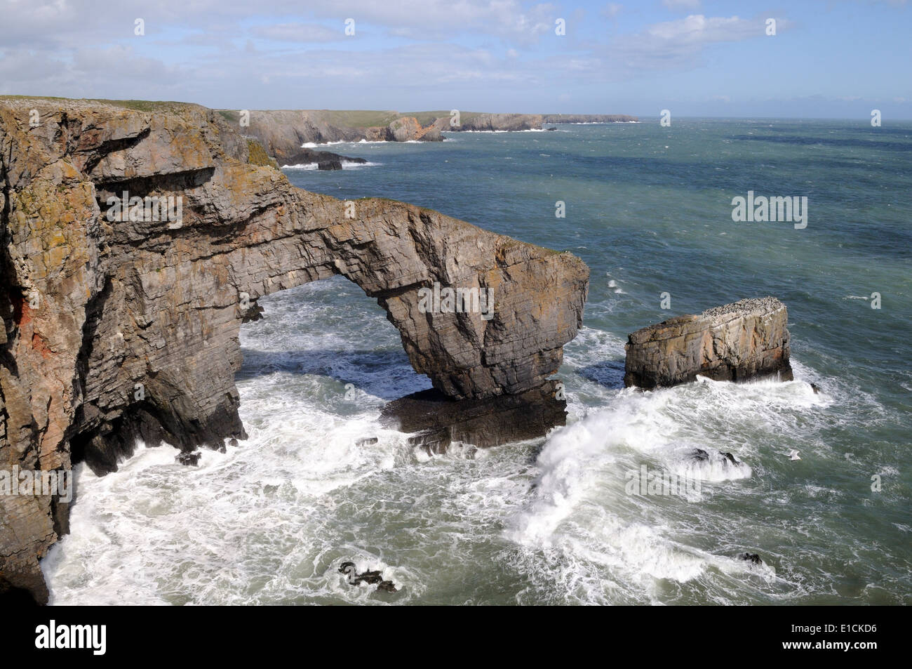 Pont Vert de Pembrokeshire Coast National park de galles Pays de Galles Cymru UK GO Banque D'Images