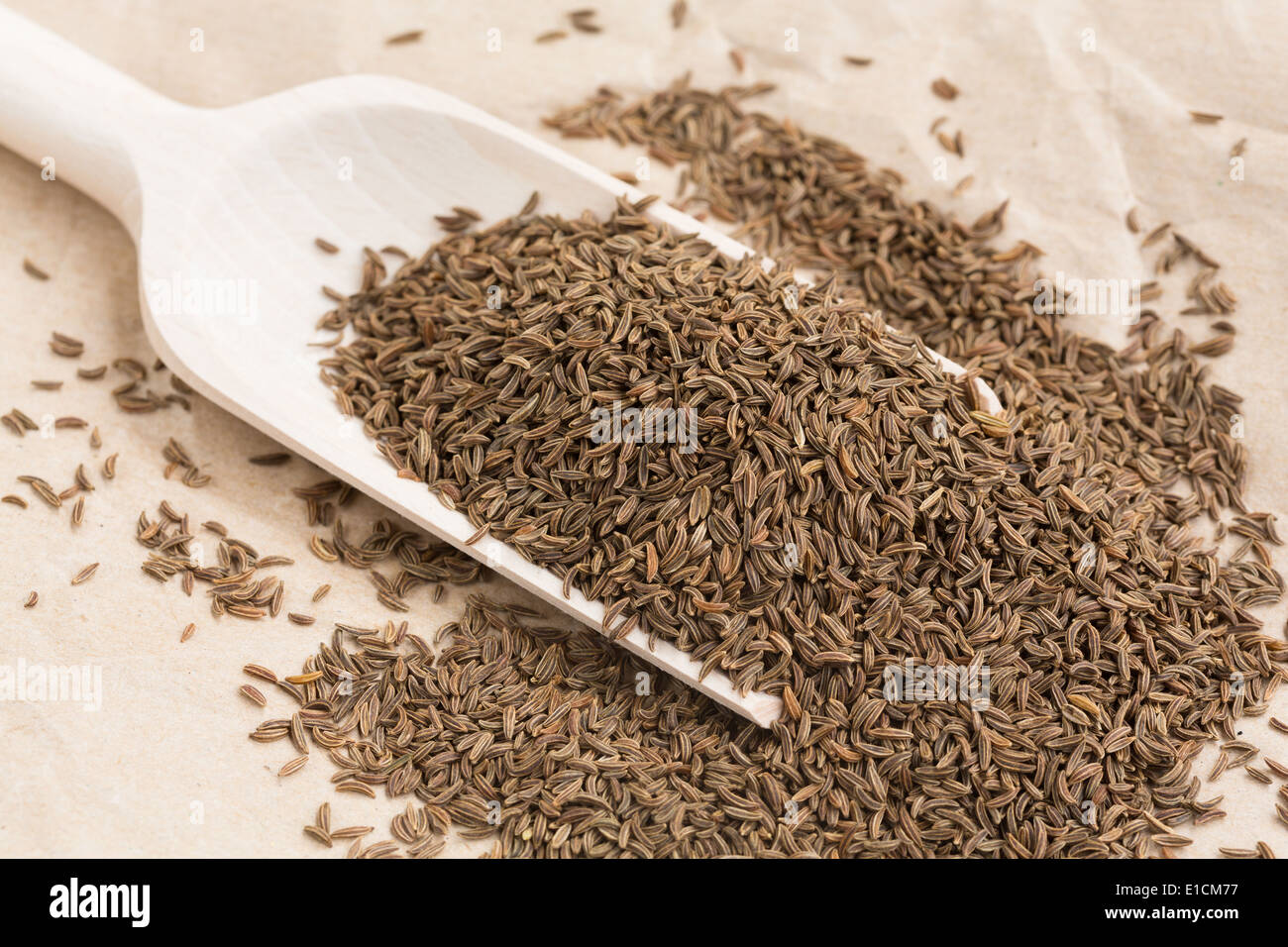 Kummel seeds (Carum carvi) Banque D'Images