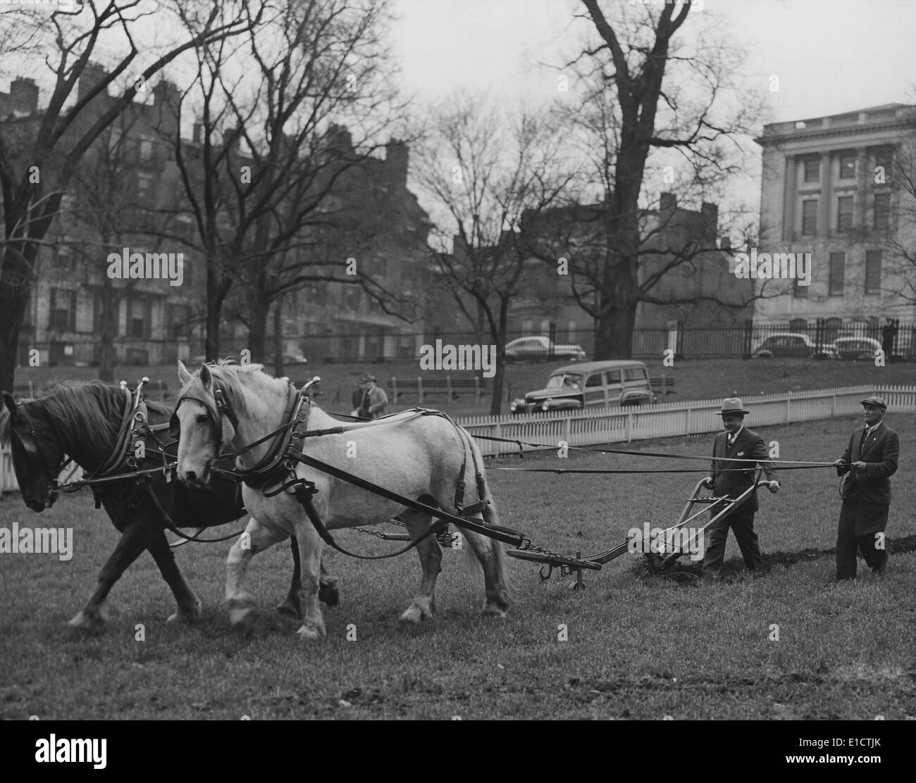 Boston Common labour pour le Programme des jardins de la victoire pendant la Seconde Guerre mondiale. Le 11 mars 1944. (BSLOC 2013  14 172) Banque D'Images