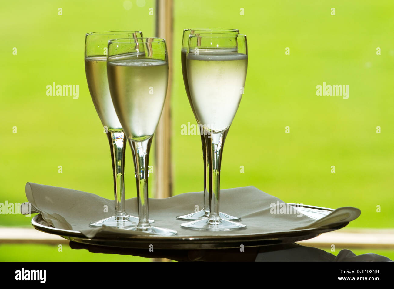Flûte à champagne flutes verres verre de champagne silver célébrations célébration de l'alcool des boissons bac buveur social dri Banque D'Images