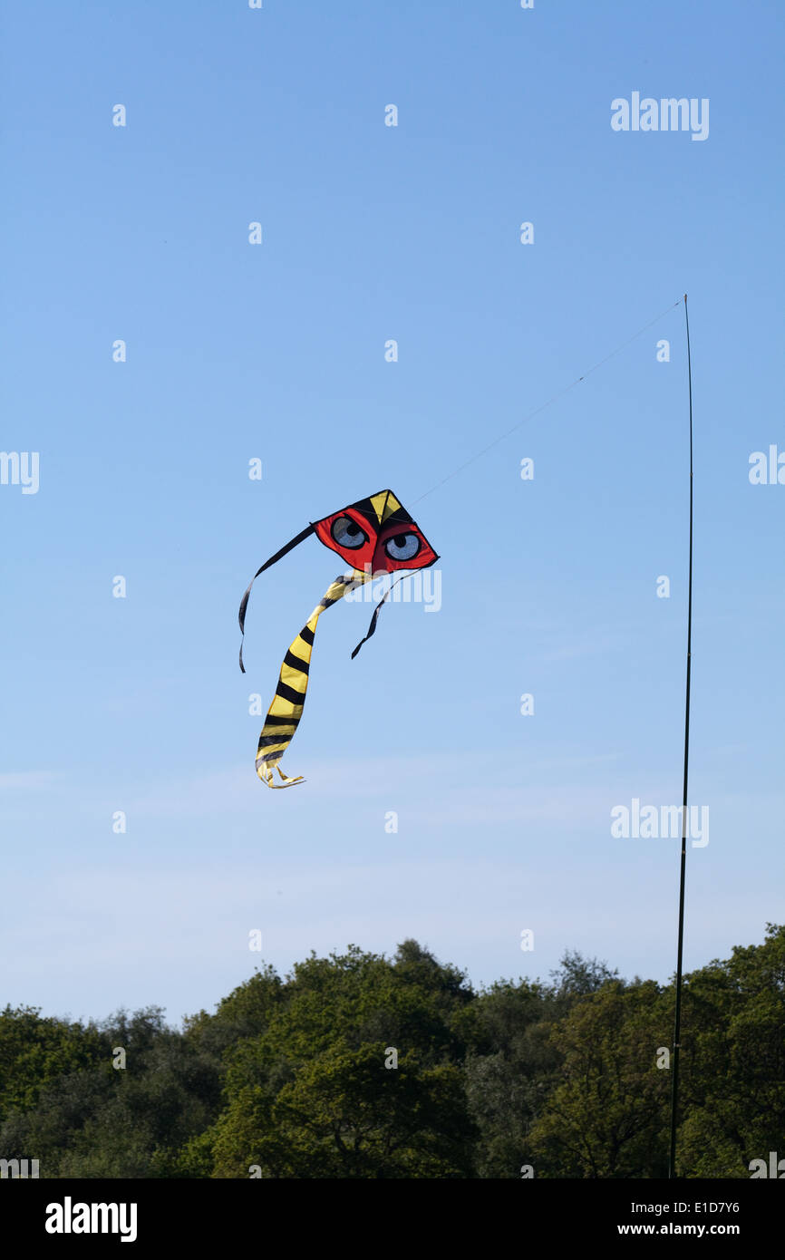 Cerf-volant d'effarouchement des oiseaux, avec beaucoup d'accent sur les yeux. Utilisé pour agir comme un dispositif d'effarouchement sur une récolte de pois. Utilisation de couleurs d'avertissement de danger, les yeux Banque D'Images