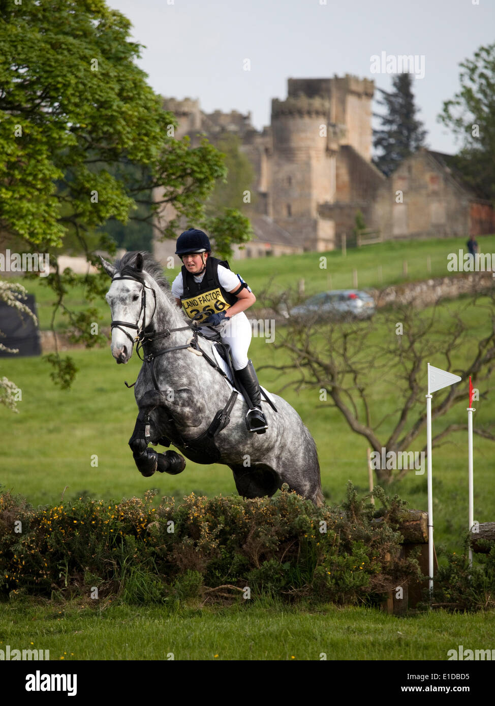 Belsay, UK. 31 mai, 2014. Un concurrent dans le cross-country de l'article supprime les sauts lors de l'équitation de Belsay 2014, organisé pour la deuxième année consécutive en raison de Belsay château dans le Northumberland, en Angleterre. Belsay château lui-même, visible en arrière-plan, est géré par l'English Heritage et est ouvert au public toute l'année. Credit : AC Images/Alamy Live News Banque D'Images