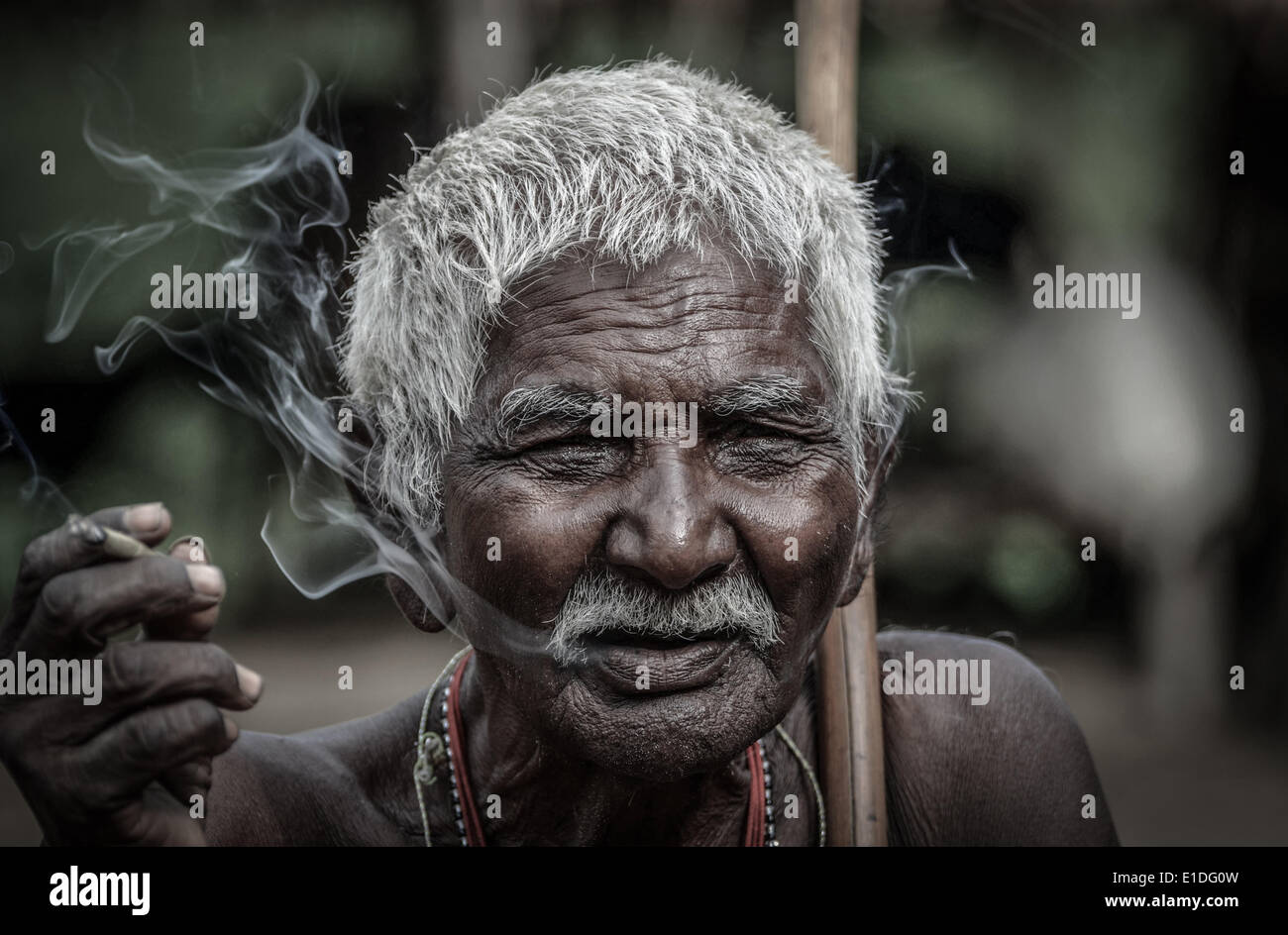 Dimpaur, Inde. 31 mai, 2014. Un vieil homme indien, un bidi fumée une cigarette roulée à la main des feuilles de la Journée mondiale sans tabac, à Jodhpur, Inde du nord-est de l'état de Nagaland, le samedi 31 mai, 2014. L'Organisation mondiale de la Santé (OMS) et l'organistan partenaires ajouter Journée mondiale sans tabac, le 31 mai, mettant en évidence les risques pour la santé associés à l'usage du tabac. ( (Photo par Caisii NurPhoto/Mao)/NurPhoto Caisii) ©/NurPhoto ZUMAPRESS.com/Alamy/Mao Live News Banque D'Images