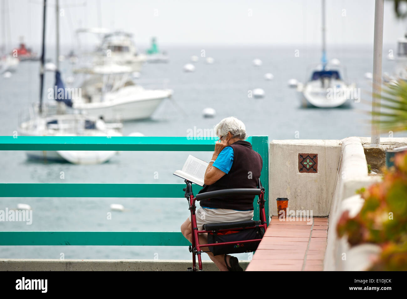 Senior Woman est assise sur son dispositif d'aide à la marche par le front de la lecture d'un livre, Avalon, Santa Catalina Island, Californie. Banque D'Images