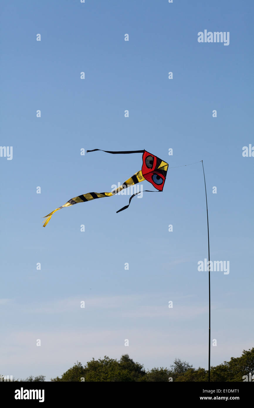 Cerf-volant d'effarouchement des oiseaux, avec beaucoup d'accent sur les yeux. Utilisé pour agir comme un dispositif d'effarouchement sur une récolte de pois. Utilisation de couleurs d'avertissement de danger, les yeux Banque D'Images