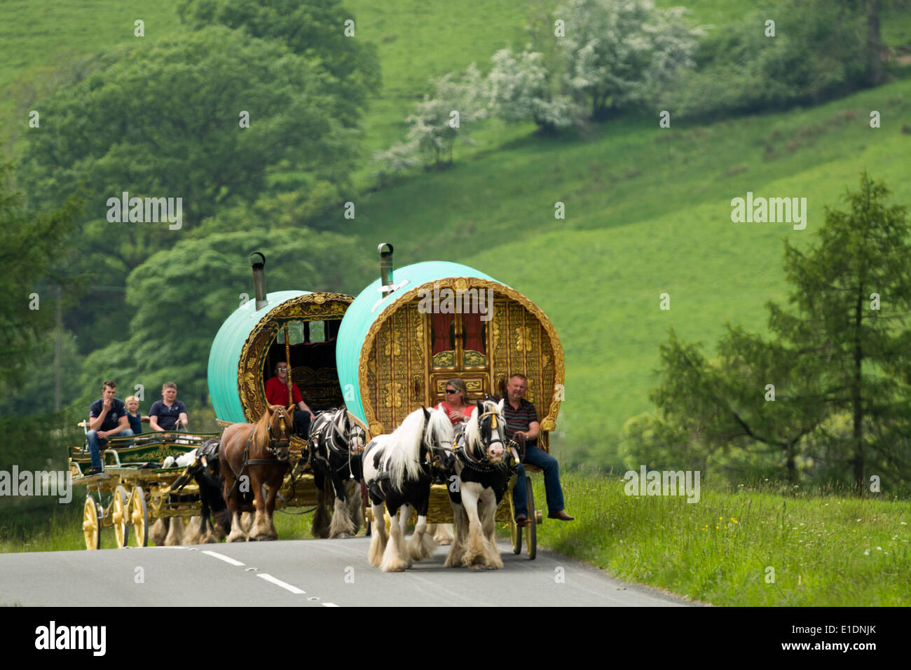 Entre Sedbergh et Kirkby Stephen, au Royaume-Uni. 01 Juin, 2014. Caravanes à cheval en direction de la foire du cheval à Appleby in Westmorland le long de l'A683 entre Sedbergh et Kirkby Stephen, prêt à camper sur la côte Moor. La foire, qui a été lancé en 1685, est le plus grand de son genre en Europe. Cette année, elle a lieu sur la 5-11ème de Juin. Credit : Wayne HUTCHINSON/Alamy Live News Banque D'Images