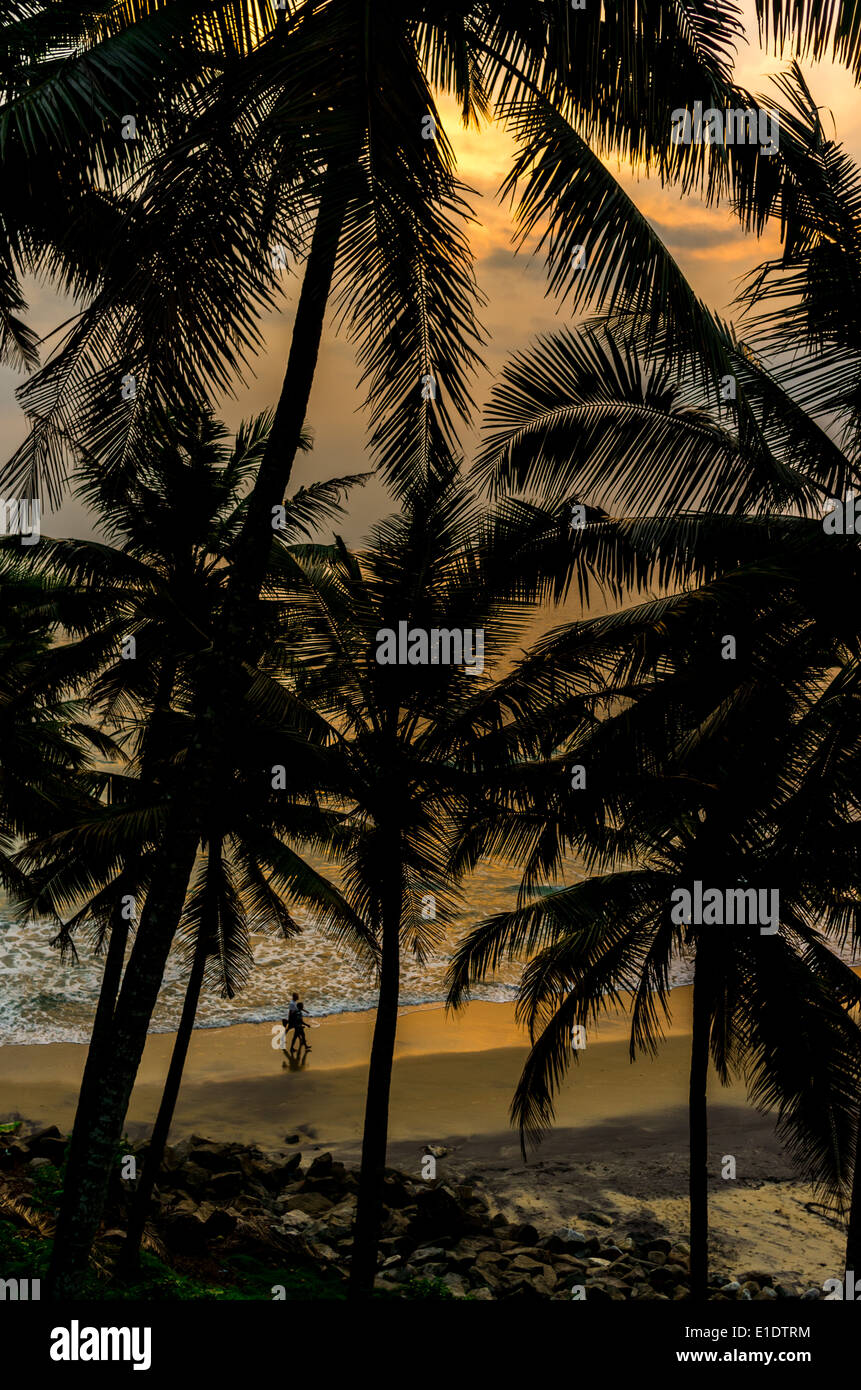 Les Indiens, des plages incroyables, Varkala plage noire. L'État du Kerala, en Inde. Banque D'Images