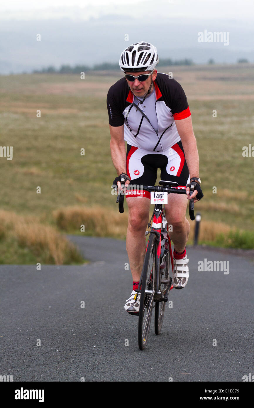 Creux de Bowland, Lancaster, UK 1er juin 2014. Le Terrier Sportive. Trois itinéraires en tenant dans la tour du Jubilé et de l'auge de Bowland avec un split à Dunsop Bridge et ensuite jusqu'au sanglier est tombé à l'ébrèchement à rejoindre les montées de Jeffery Hill et Waddington est tombé et à la station d'alimentation à Slaidburn. La longue route est allé plus de Bowland noeuds avec une grande boucle, retour à Slaidburn avec vue superbe, calme et paysages de voie. Credit : Conrad Elias/Alamy Live News Banque D'Images