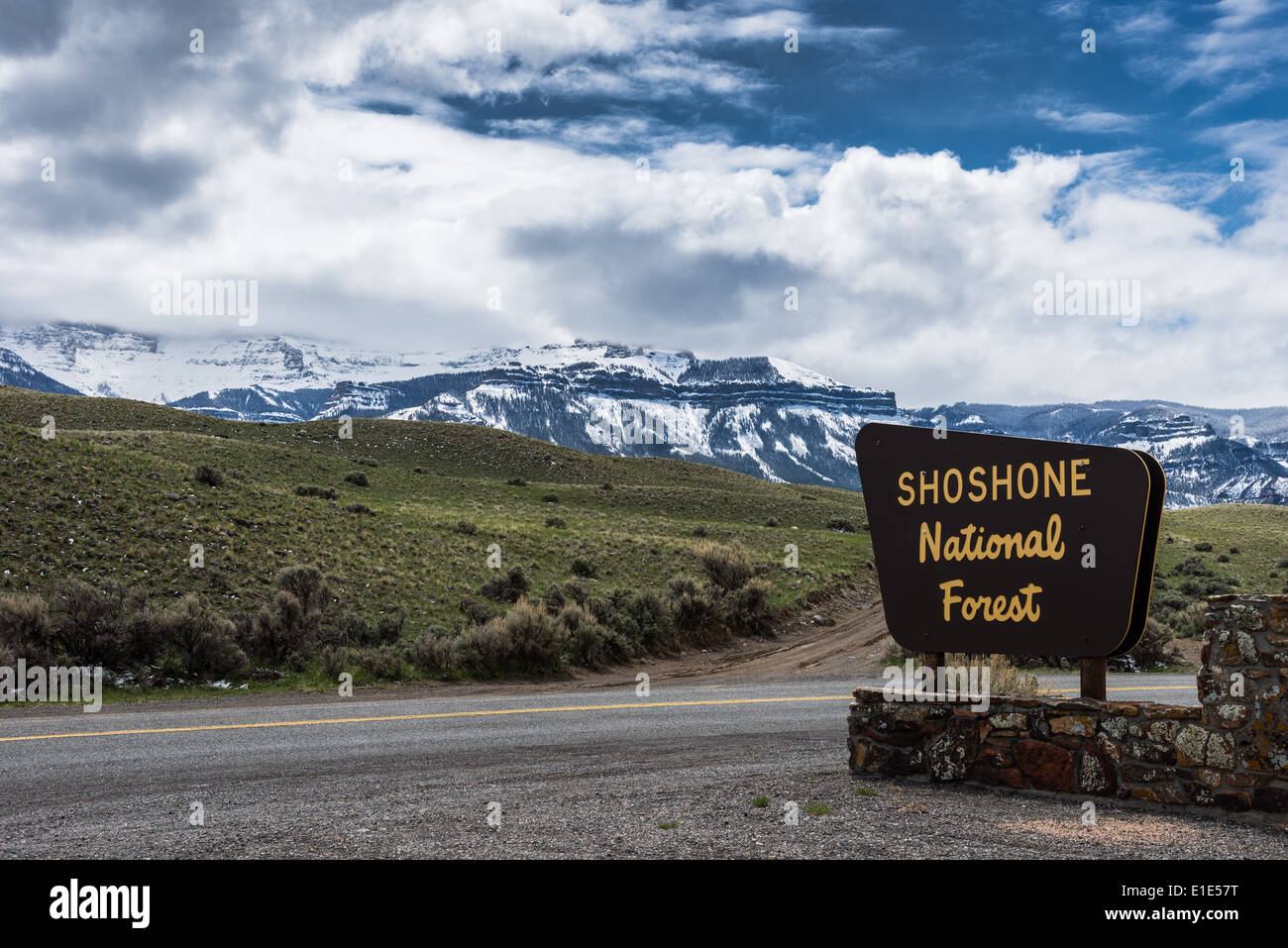 Signe de la forêt nationale de Shoshone. Wyoming, États-Unis. Banque D'Images