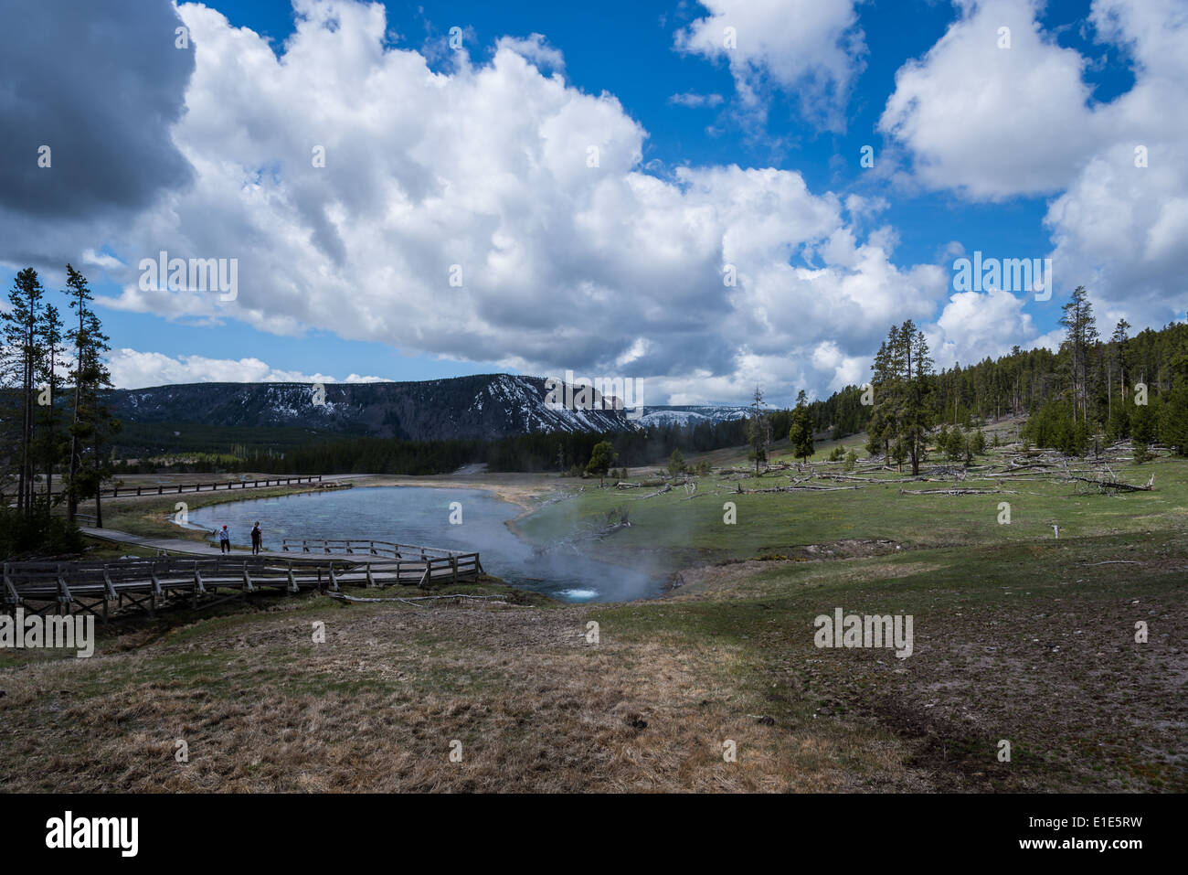 Hot spring rss dans une rivière. Le Parc National de Yellowstone, Wyoming, USA. Banque D'Images