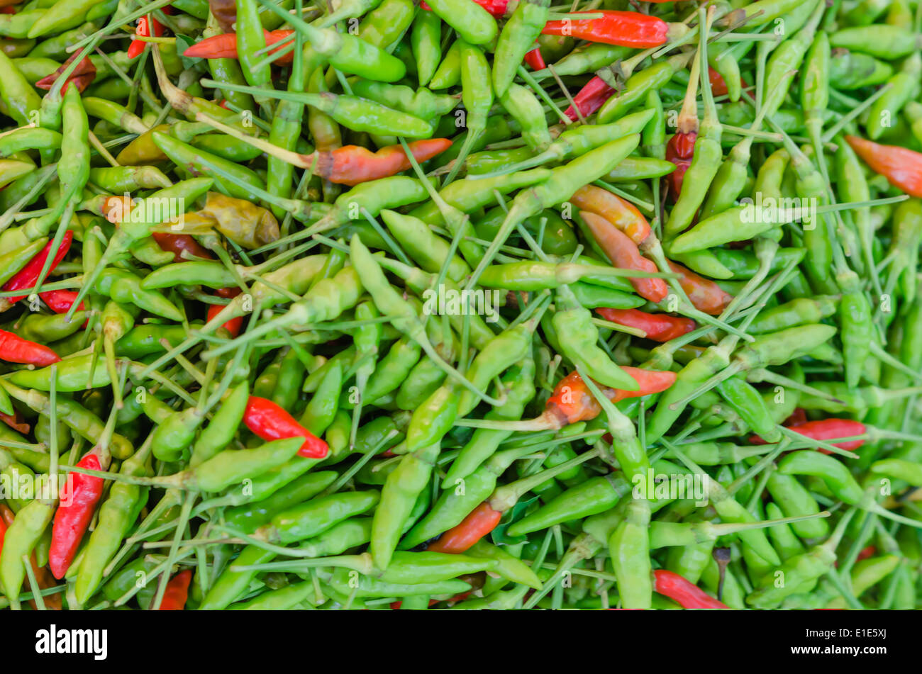 Piment rouge et vert historique complet Banque D'Images