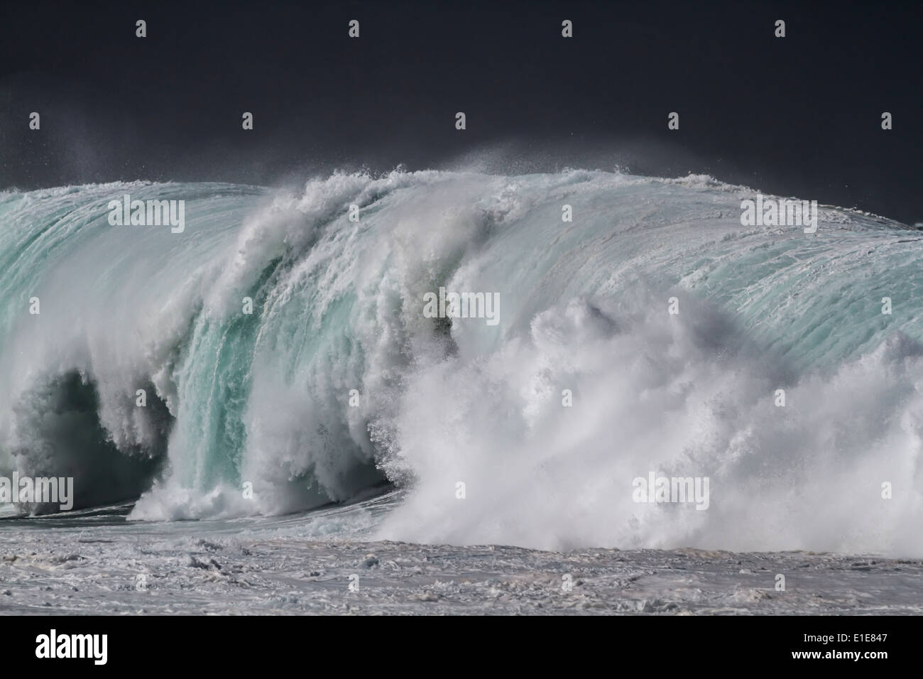 Les grandes vagues de l'océan sur la côte nord d'Oahu Banque D'Images