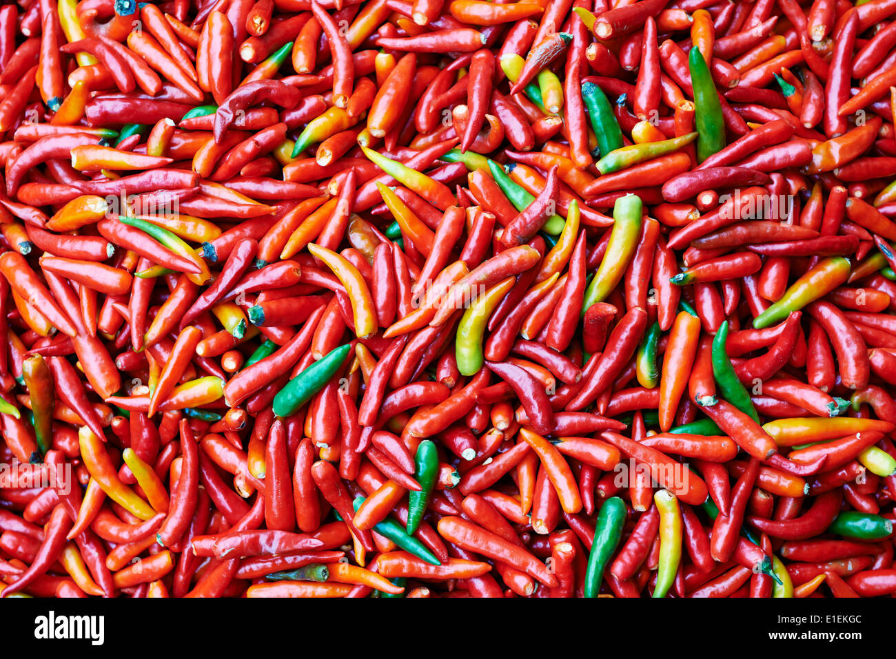 La Chine, la province du Hunan, Zhangjiajie, le Chili jusqu'à sec Banque D'Images