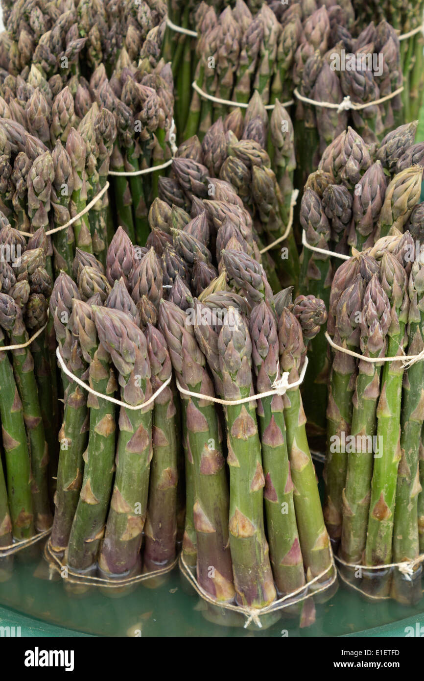 Bouquets d'asperges en anglais Banque D'Images