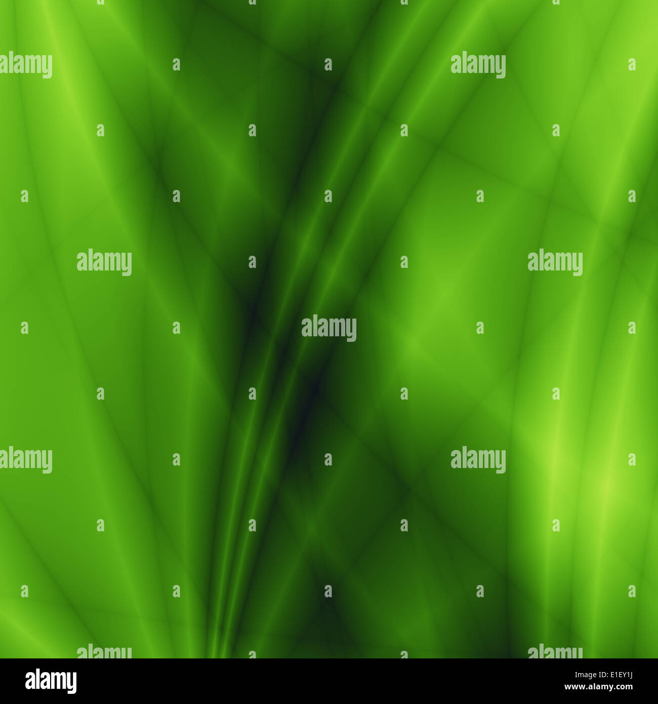 Feuilles vert jungle résumé web design Banque D'Images