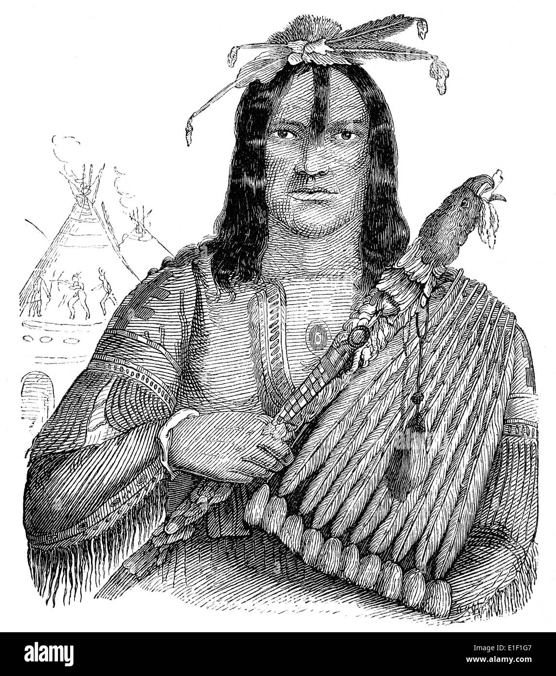 Type d'un natif Américain, non végétariens, les gens photo du xixe siècle, 1872, Germany, Europe Banque D'Images