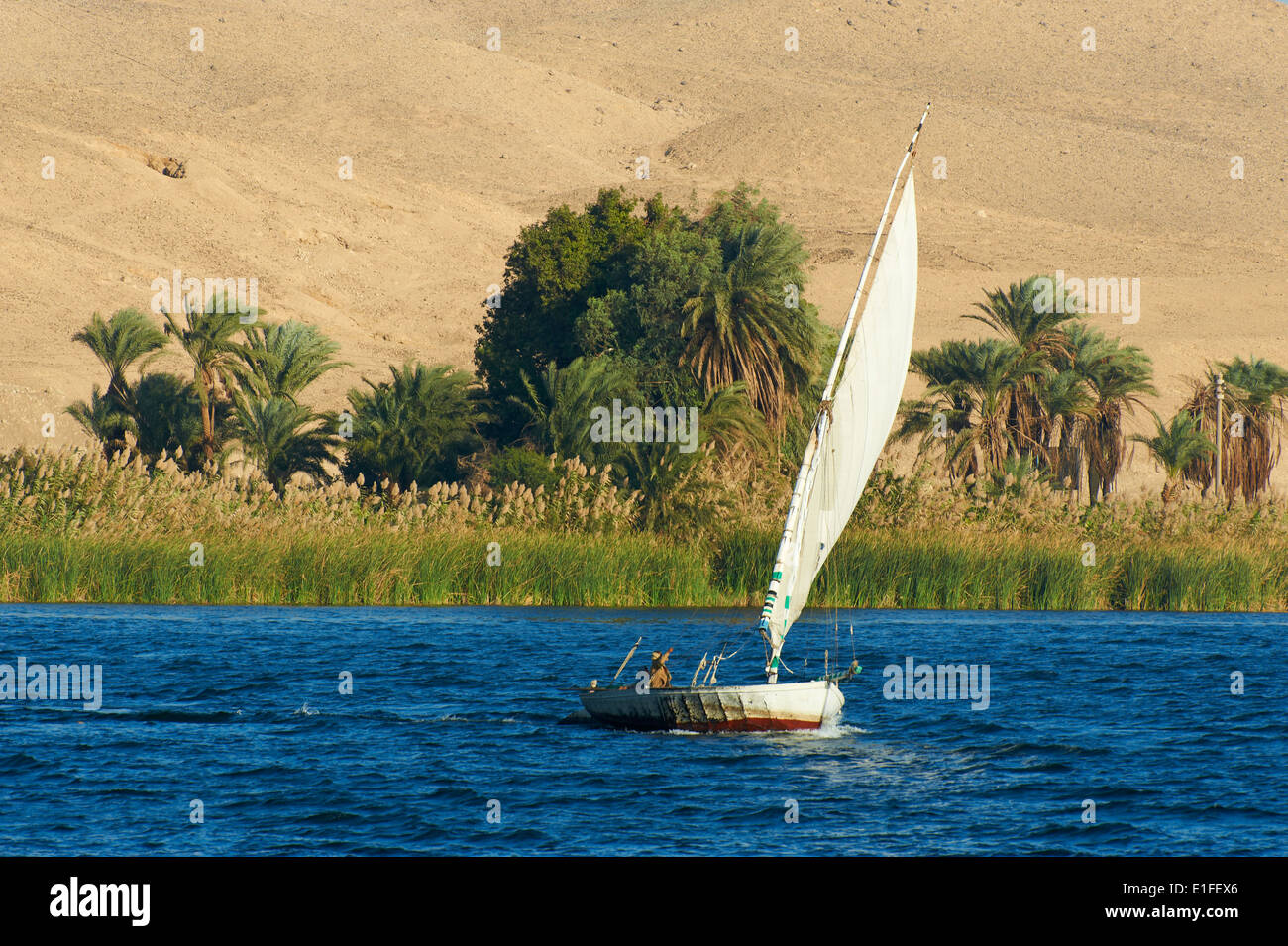 L'Egypte, croisière sur le Nil entre Louxor et Assouan, Fisher Banque D'Images