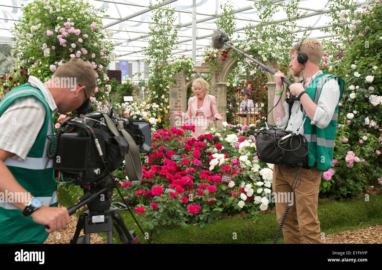 Carol Klein est un expert en jardinage Anglais Chelsea Flower Show 2014 sur Peter Beales Roses stand d'exposition. Banque D'Images