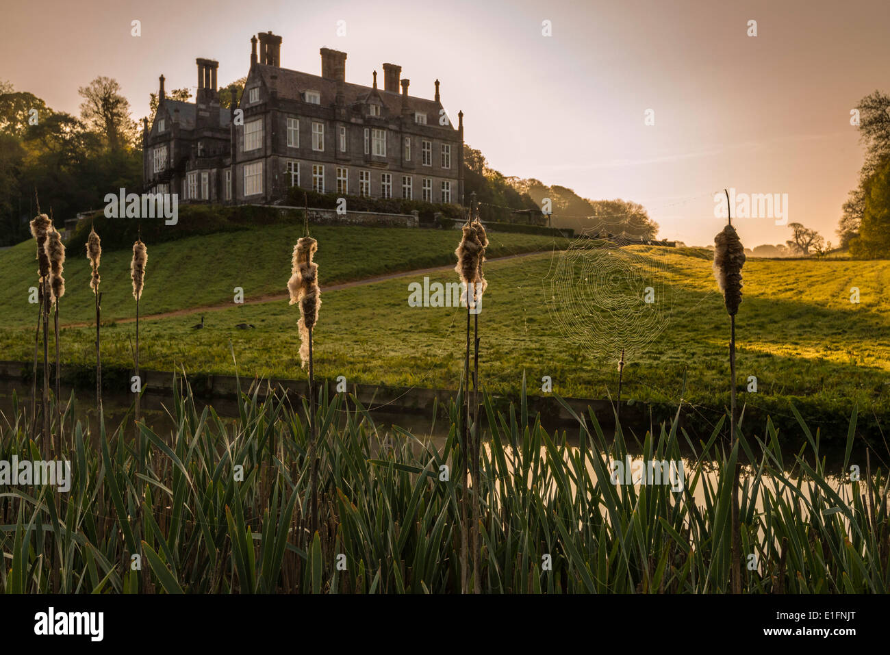 Country House Hotel à l'aube dans un parc avec lac, près du village de Brixton, Devon, Angleterre Royaume-uni Banque D'Images