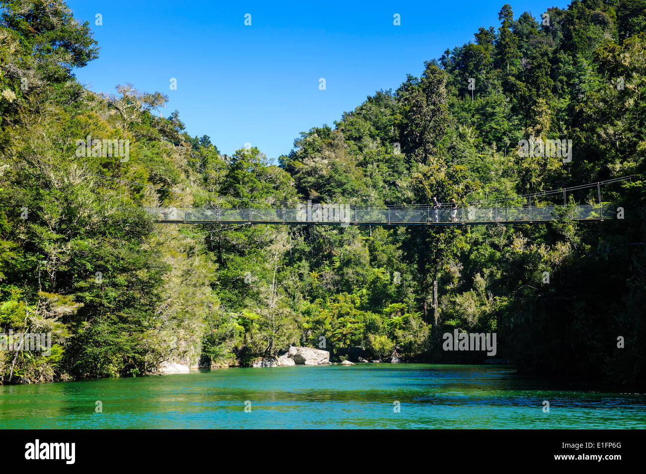 Swinging bridge, parc national Abel Tasman, île du Sud, Nouvelle-Zélande, Pacifique Banque D'Images