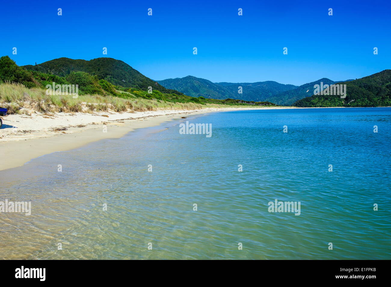 Longue plage de sable, parc national Abel Tasman, île du Sud, Nouvelle-Zélande, Pacifique Banque D'Images