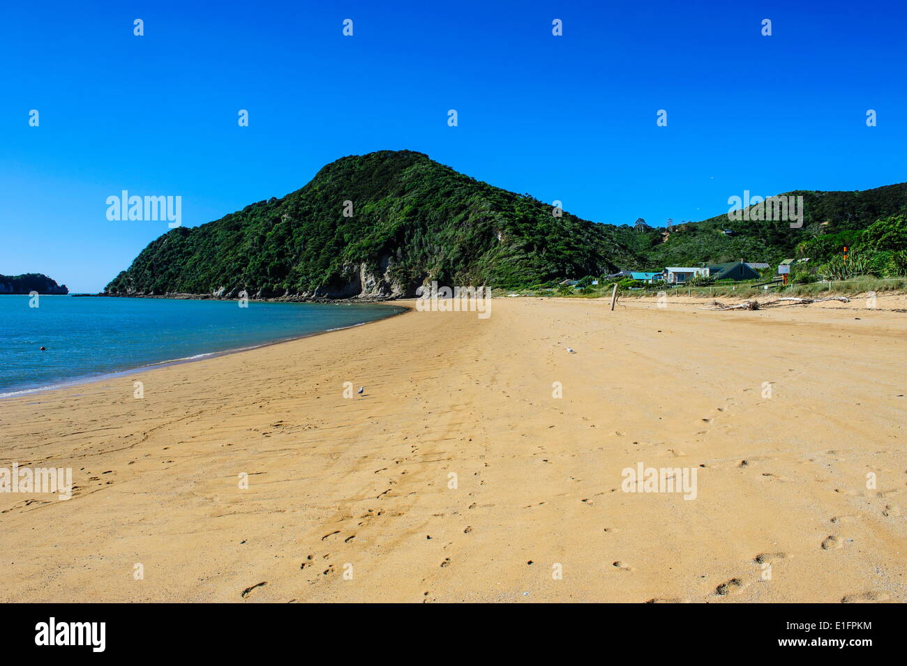 Longue plage de sable, parc national Abel Tasman, île du Sud, Nouvelle-Zélande, Pacifique Banque D'Images