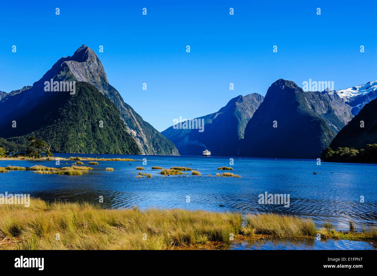 Bateau de croisière passant par Milford Sound, Fiordland National Park, site de l'UNESCO, l'île du Sud, Nouvelle-Zélande, Pacifique Banque D'Images