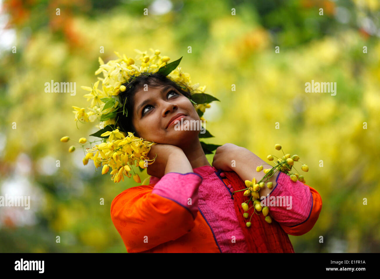 Dhaka, Bangladesh, le 05 mai 2014 ; les Bangladaises et fleurs d'été en été.Pendant la saison estivale de nombreuses sortes de fleurs bloom nommé (Krishnachura Sonalu,Delonix regia) Fleur (Cassia fistula),Moulmein, Rosewood (Millettia Peguensis),Crape Myrtle Tropicaux (Lagerstroemia Trubinata) etc. Banque D'Images