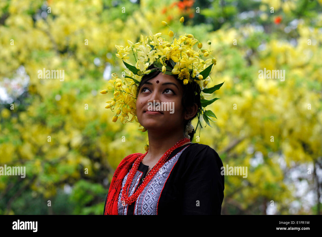 Dhaka, Bangladesh, le 05 mai 2014 ; les Bangladaises et fleurs d'été en été.Pendant la saison estivale de nombreuses sortes de fleurs bloom nommé (Krishnachura Sonalu,Delonix regia) Fleur (Cassia fistula),Moulmein, Rosewood (Millettia Peguensis),Crape Myrtle Tropicaux (Lagerstroemia Trubinata) etc. Banque D'Images